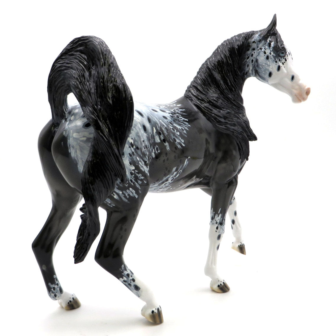 Hawk - Dark Gray Appaloosa by Dawn Quick