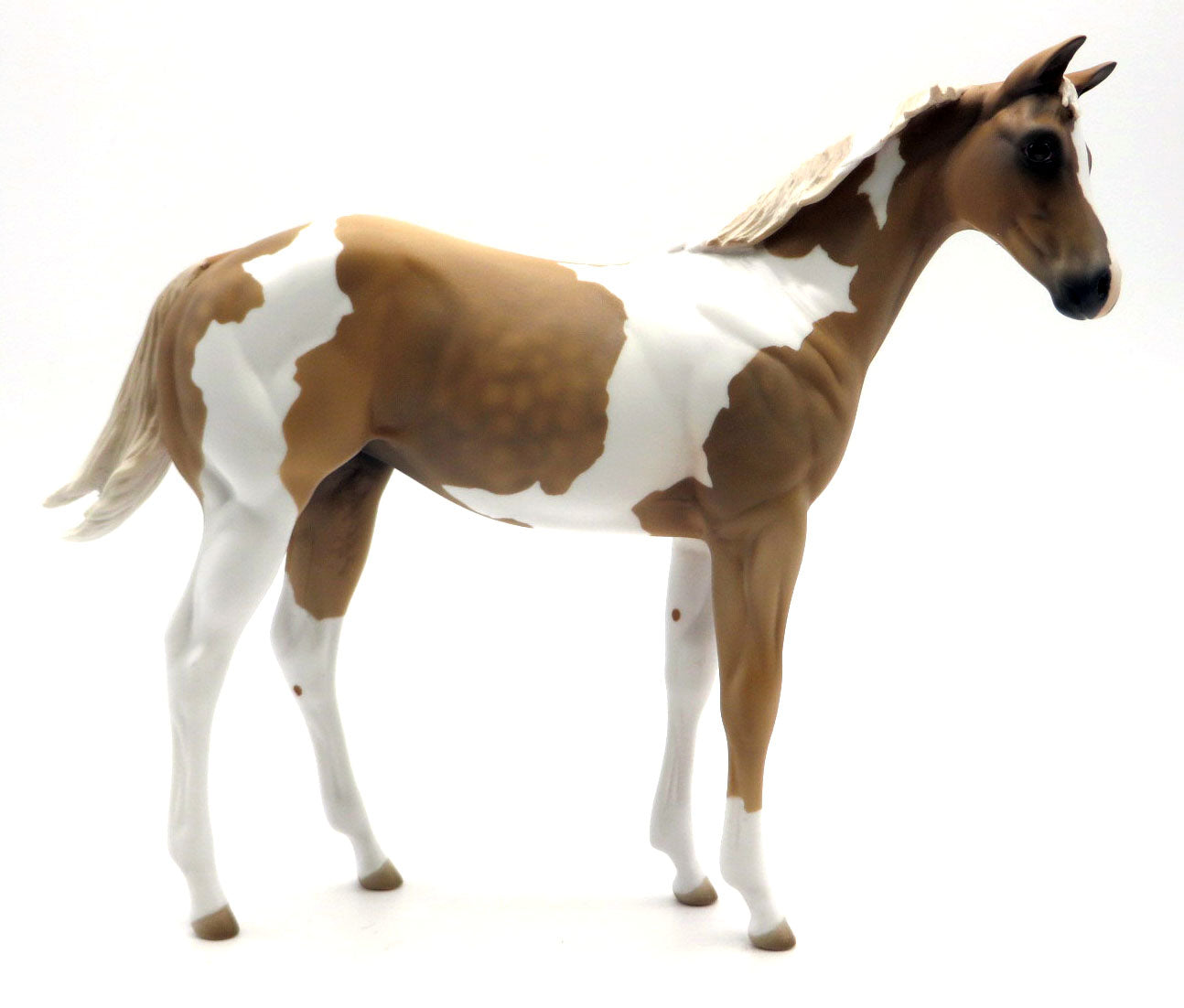 Cheese It - OOAK Palomino Tobiano Weanling - SHCF 22