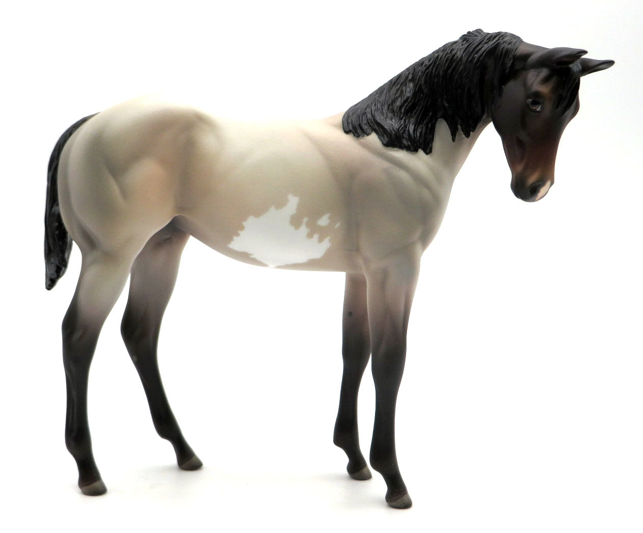 Chicago Lightning - OOAK Bay Roan Overo Weanling - SHCF 22
