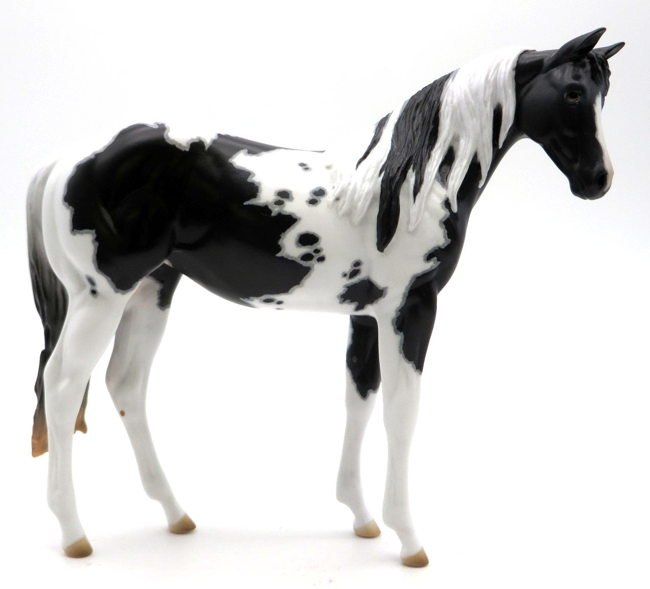 Flivver - OOAK Black Tobiano Weanling - SHCF 22