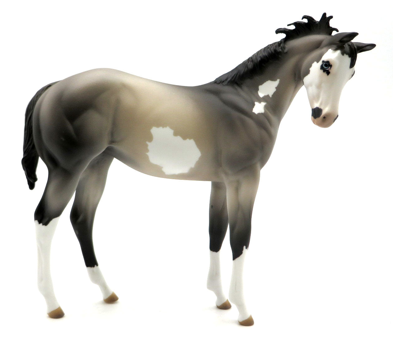 Goog - OOAK Grulla Overo Weanling - SHCF 22