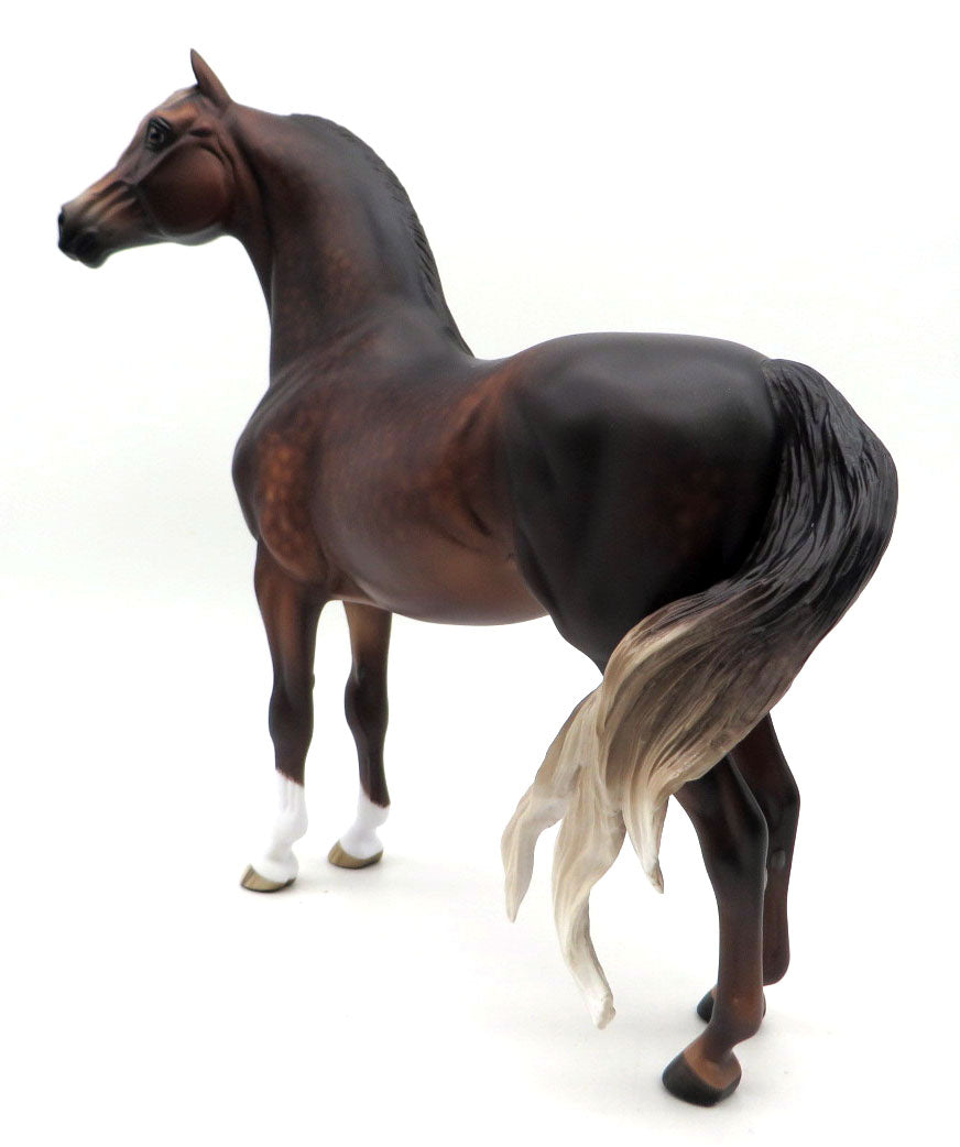 Devo - Chestnut Morgan by Sheryl Leisure