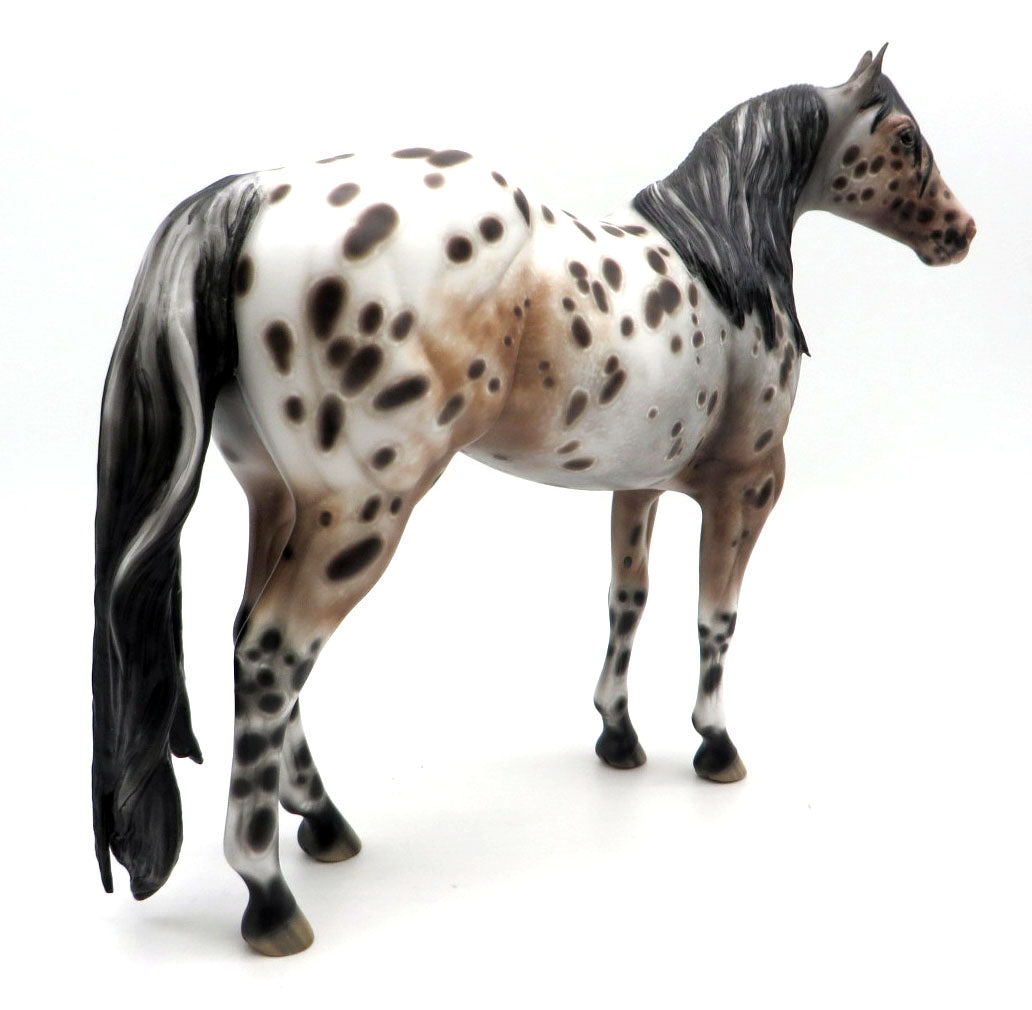 Social Distortion - Appaloosa ISH by Sheryl Leisure