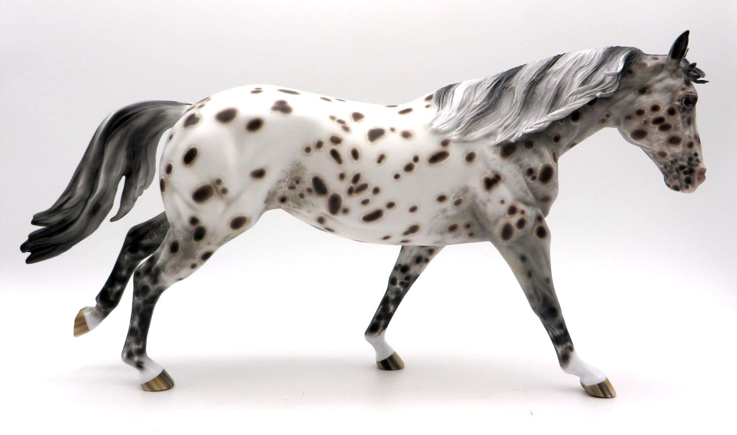 X-Ray Spex - Bay Leopard Stock Horse by Sheryl Leisure