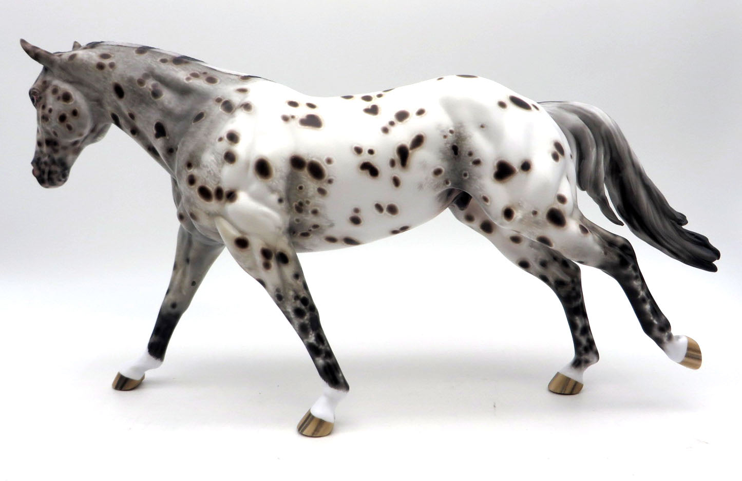 X-Ray Spex - Bay Leopard Stock Horse by Sheryl Leisure