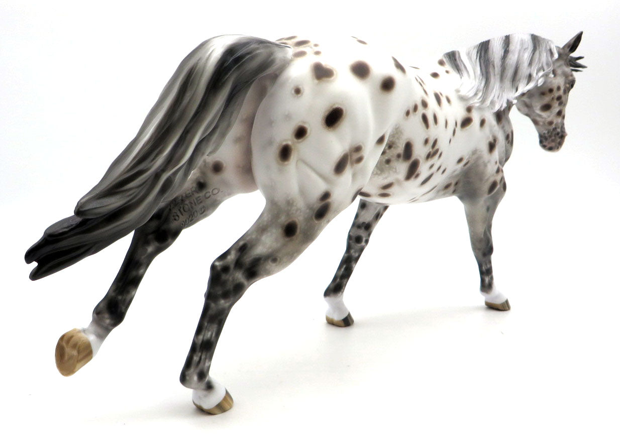 X-Ray Spex - Bay Leopard Stock Horse by Sheryl Leisure