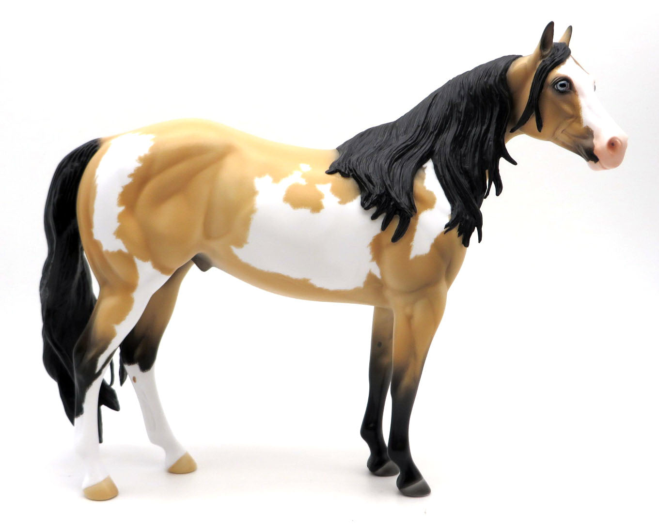 Reyer-OOAK Etched Buckskin ISH Painted by Carrie Keller 3/21/22