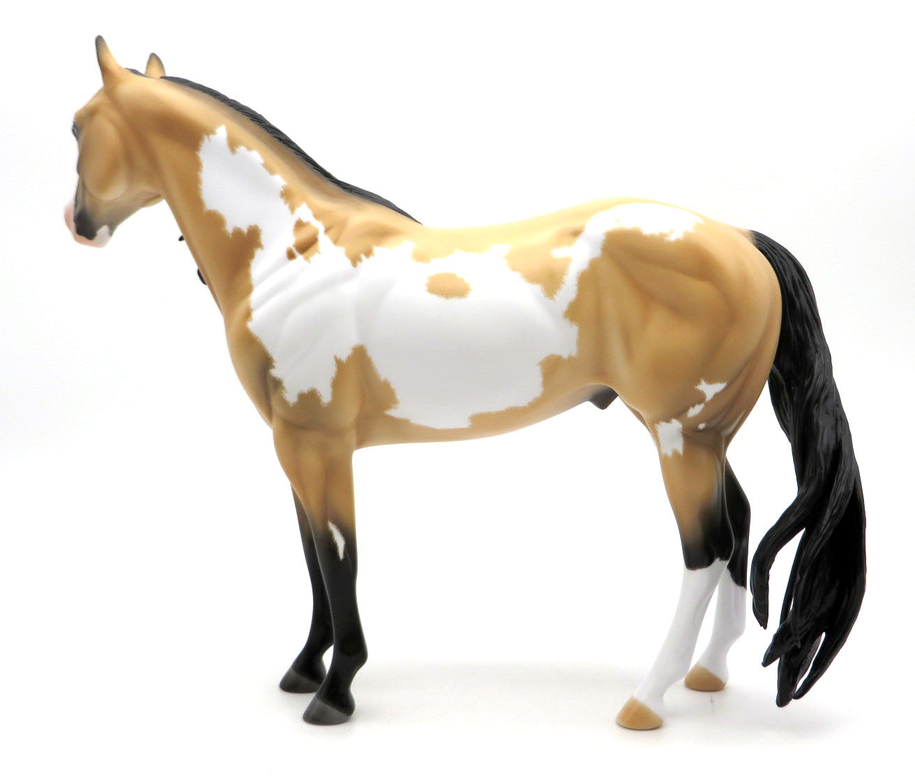 Reyer-OOAK Etched Buckskin ISH Painted by Carrie Keller 3/21/22