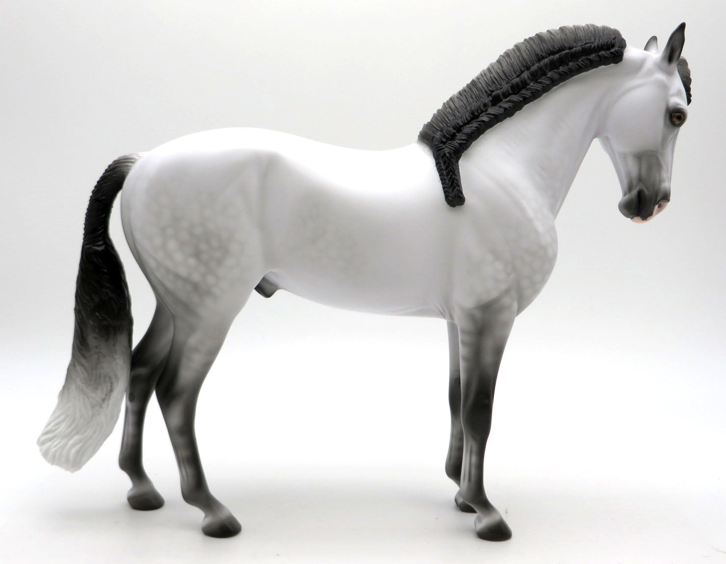 Seasons of Love - LOYALTY 2021/22