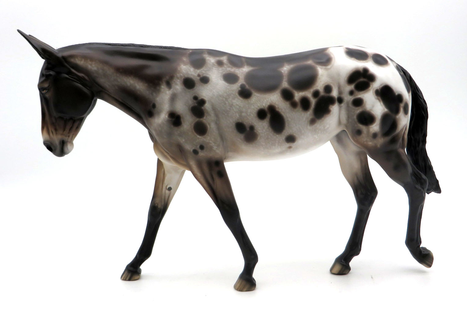 Carole-OOAK Bay Spotted Mule Painted by Sheryl Leisure 3/28/22