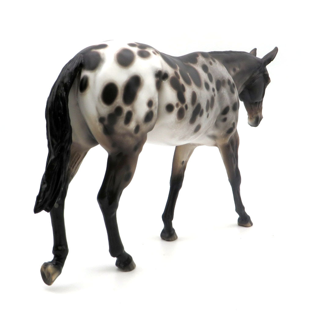 Carole-OOAK Bay Spotted Mule Painted by Sheryl Leisure 3/28/22