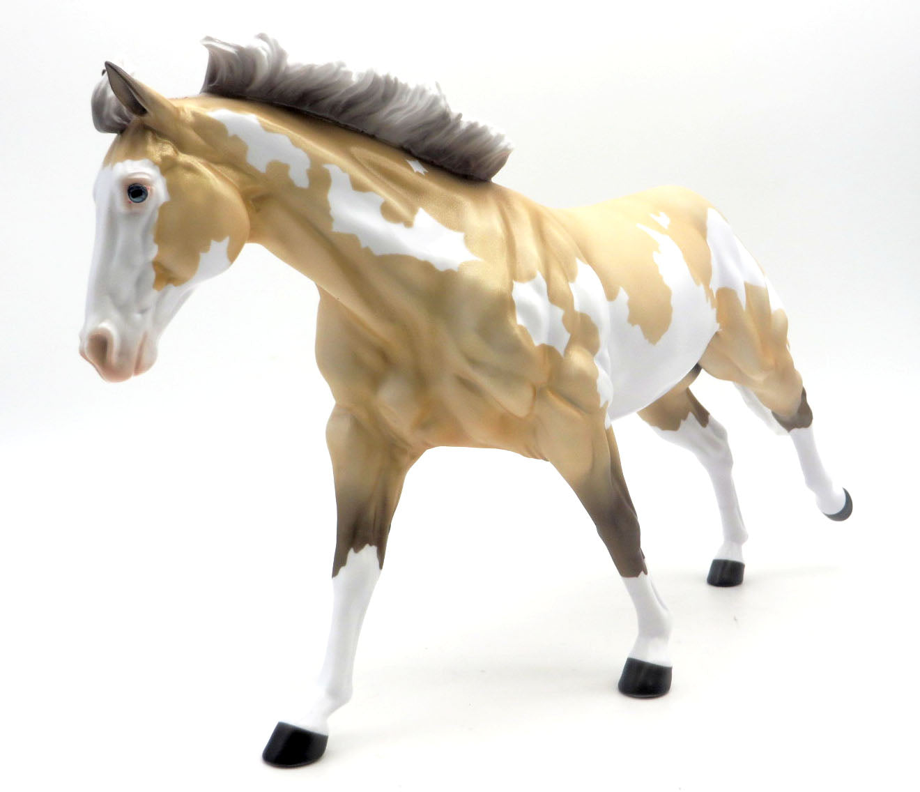 Gold Digger - Silver Buckskin Overo - SHCF 22