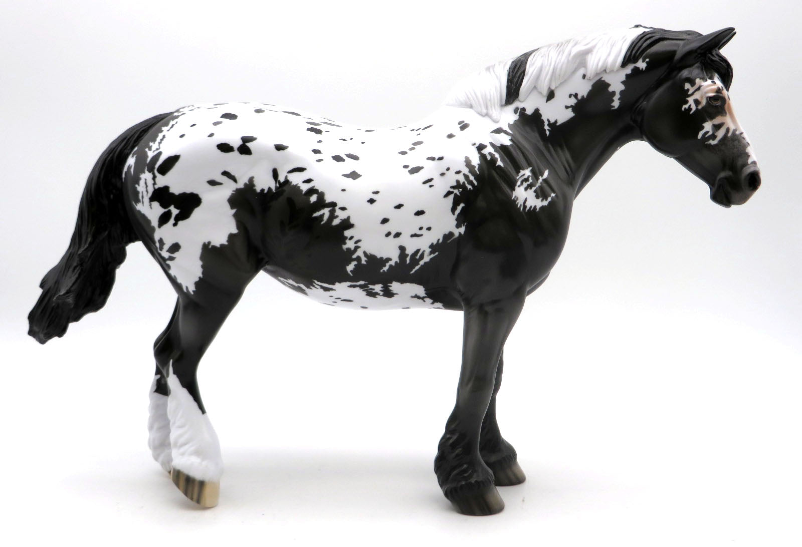 Malone - Extended Blanket Draft Mare - SHCF 22