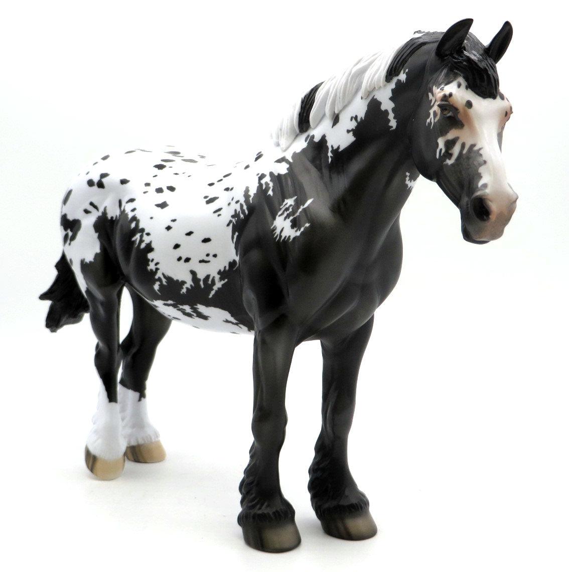 Malone - Extended Blanket Draft Mare - SHCF 22
