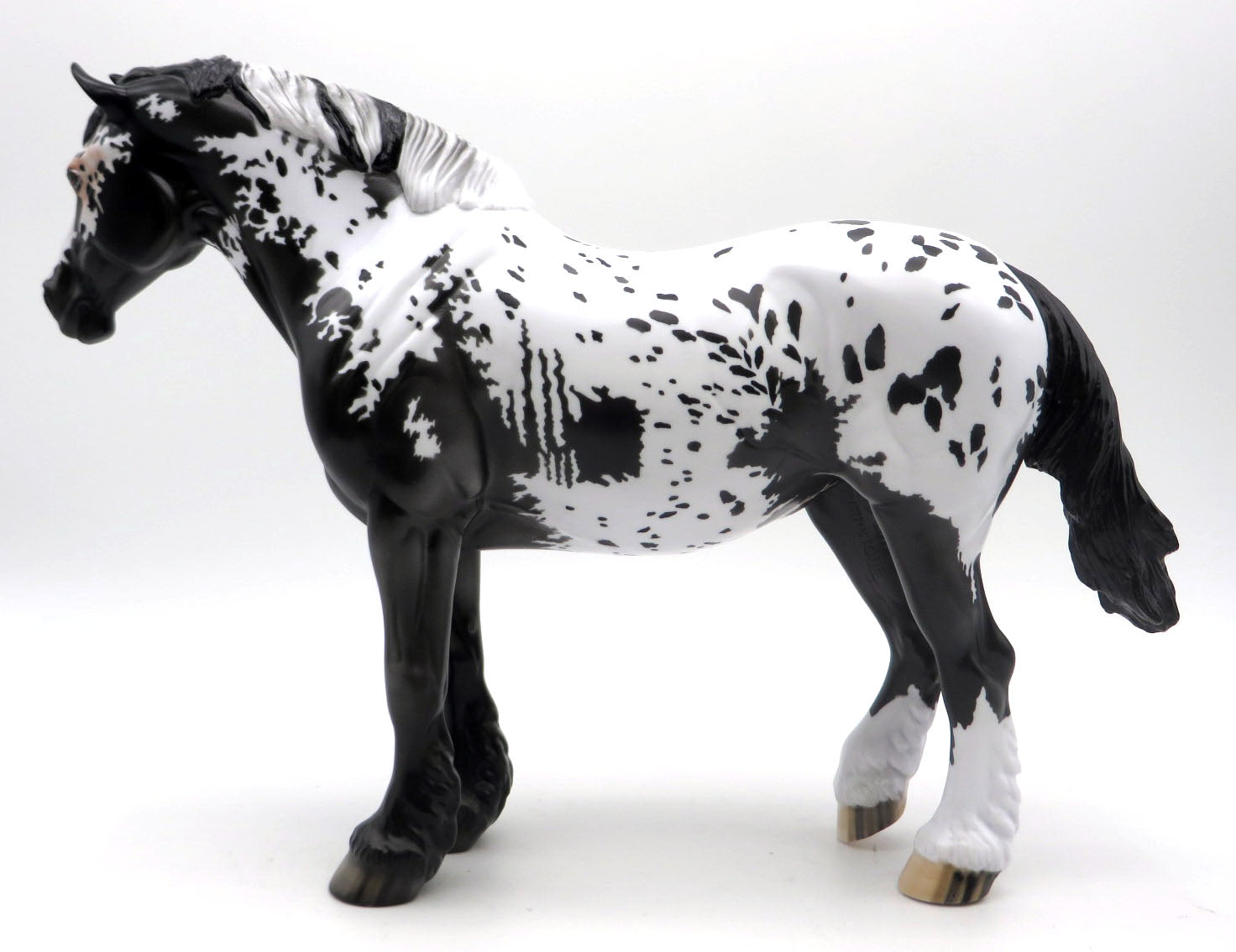 Malone - Extended Blanket Draft Mare - SHCF 22