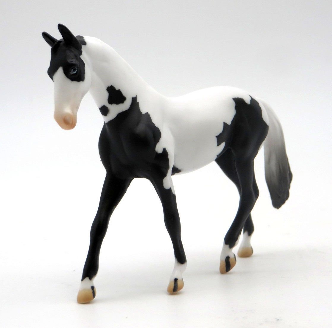 Mini Capone - Black Tovero WB Chip - SHCF 22