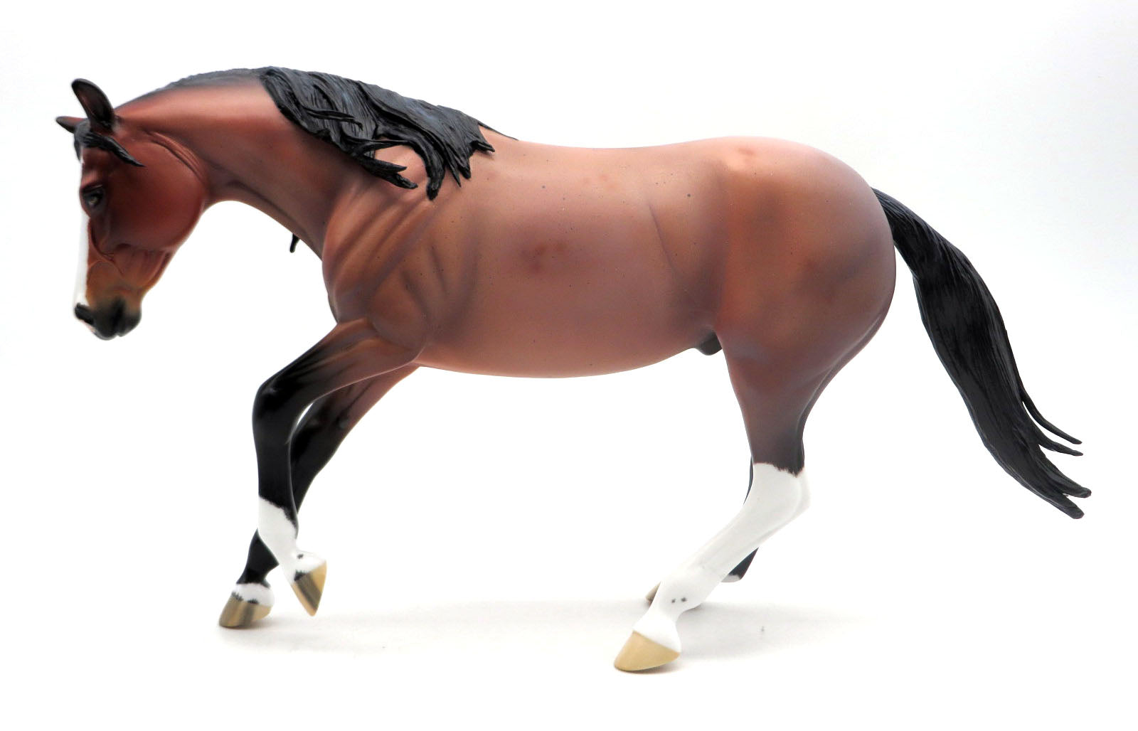 We are all mad here-Bay Roan Performance Horse Painted by Ellen 4/4/22