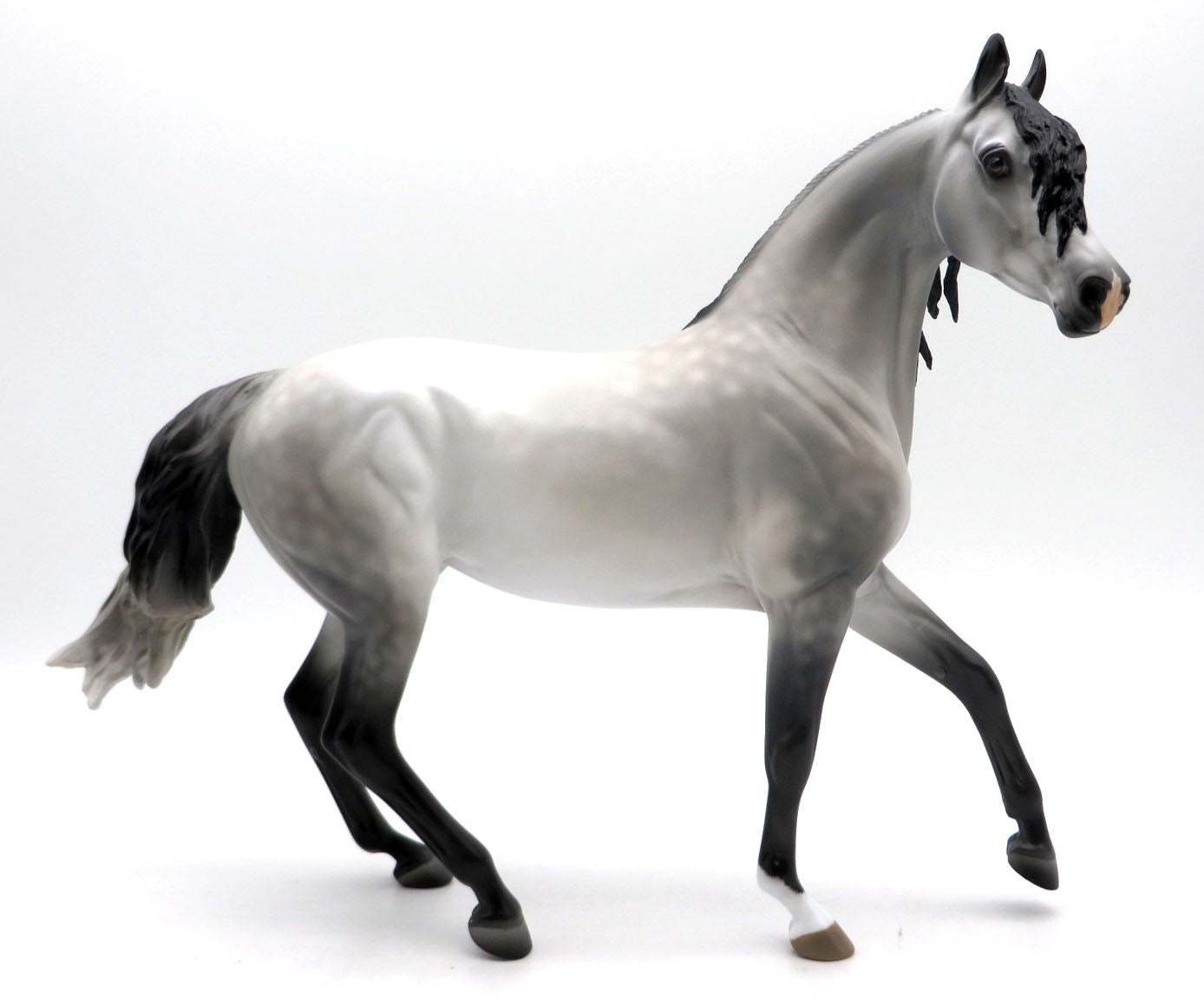 Nightwind -Grey Arabian Mare Painted by Jess 4/4/22