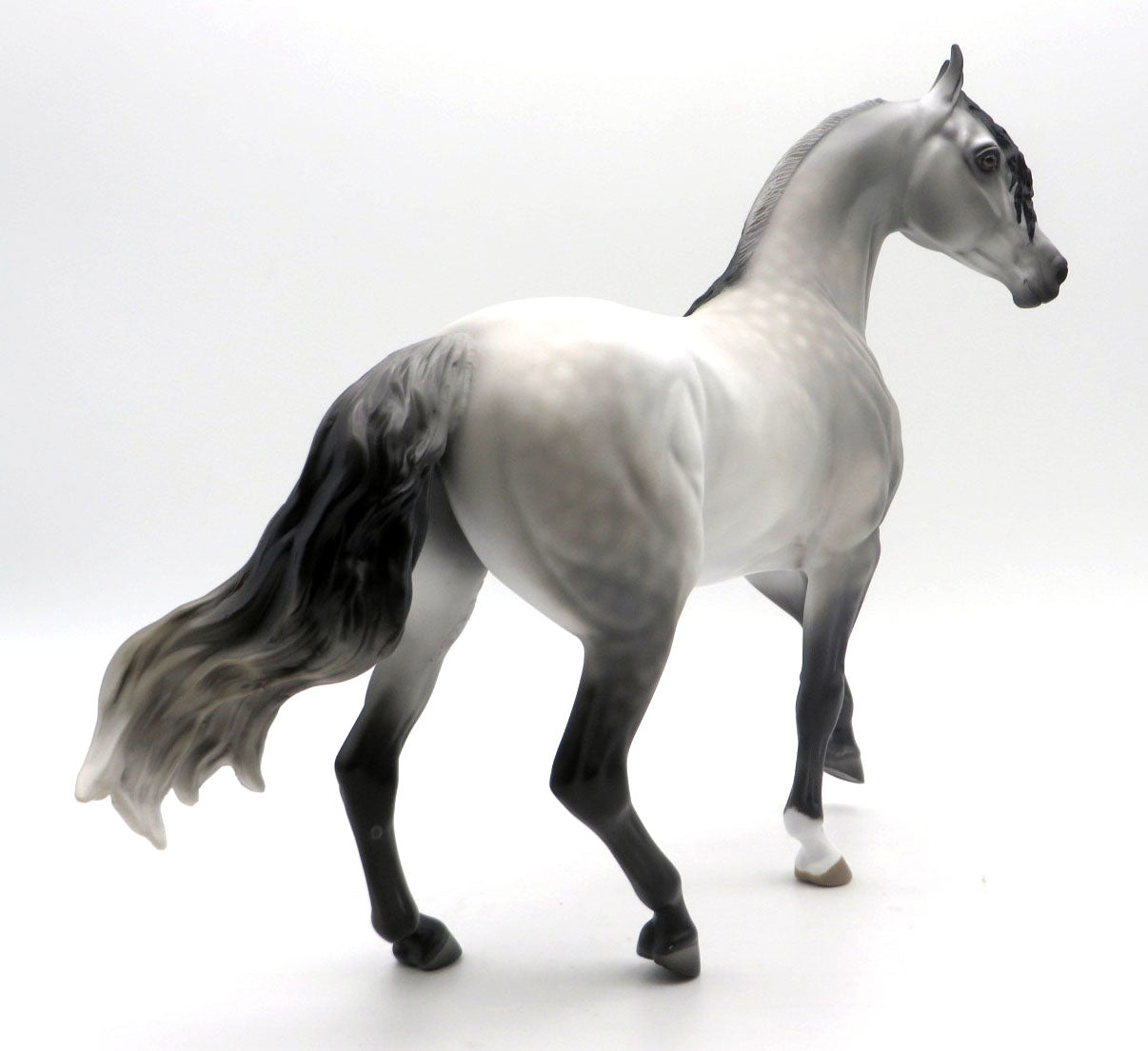 Nightwind -Grey Arabian Mare Painted by Jess 4/4/22