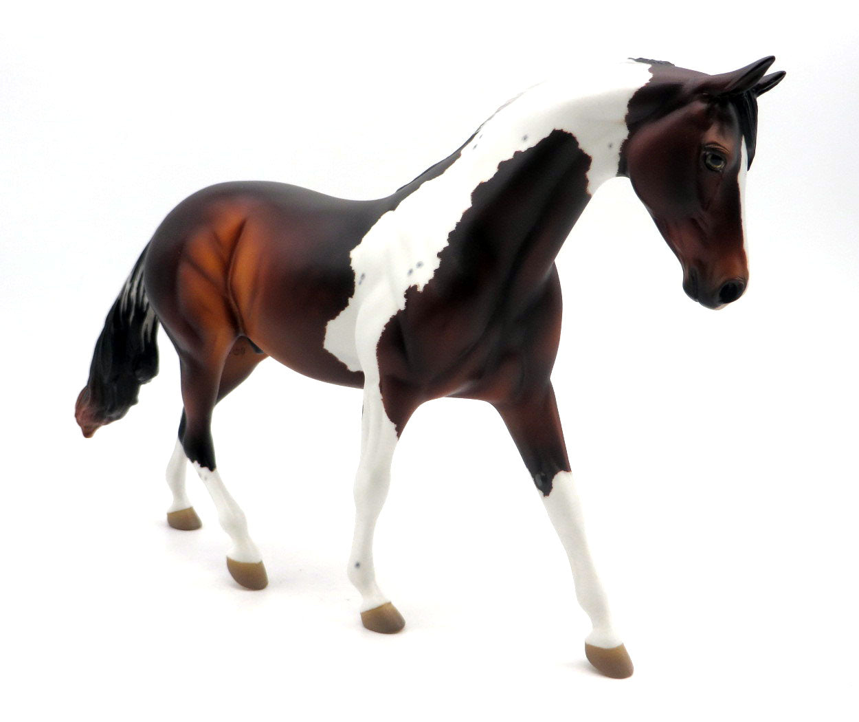 Terror Tongue-OOAK Pinto Pony Painted by Ellen Robbins 4/4/22