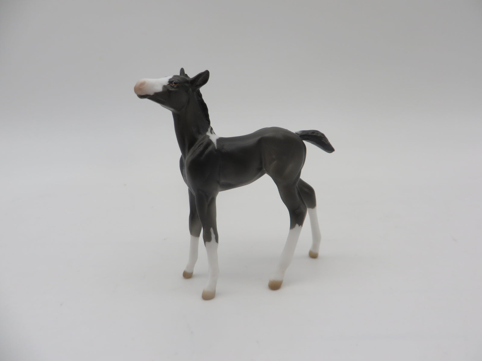 Hooter - OOAK - Chip Foal By Donna Fredley - SHCF23