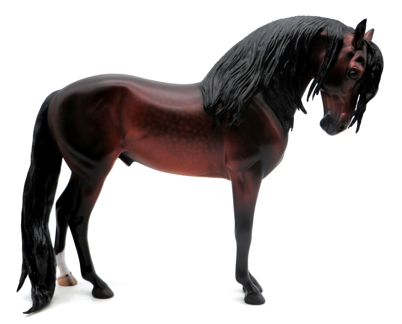 Poco-OOAK Dapple Bay Andalusian Painted by Caroline Boydston 4/11/22