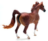 Amil-OOAK Dapple Chestnut Arabian Mare Painted by Caroline Boydston 4/11/22