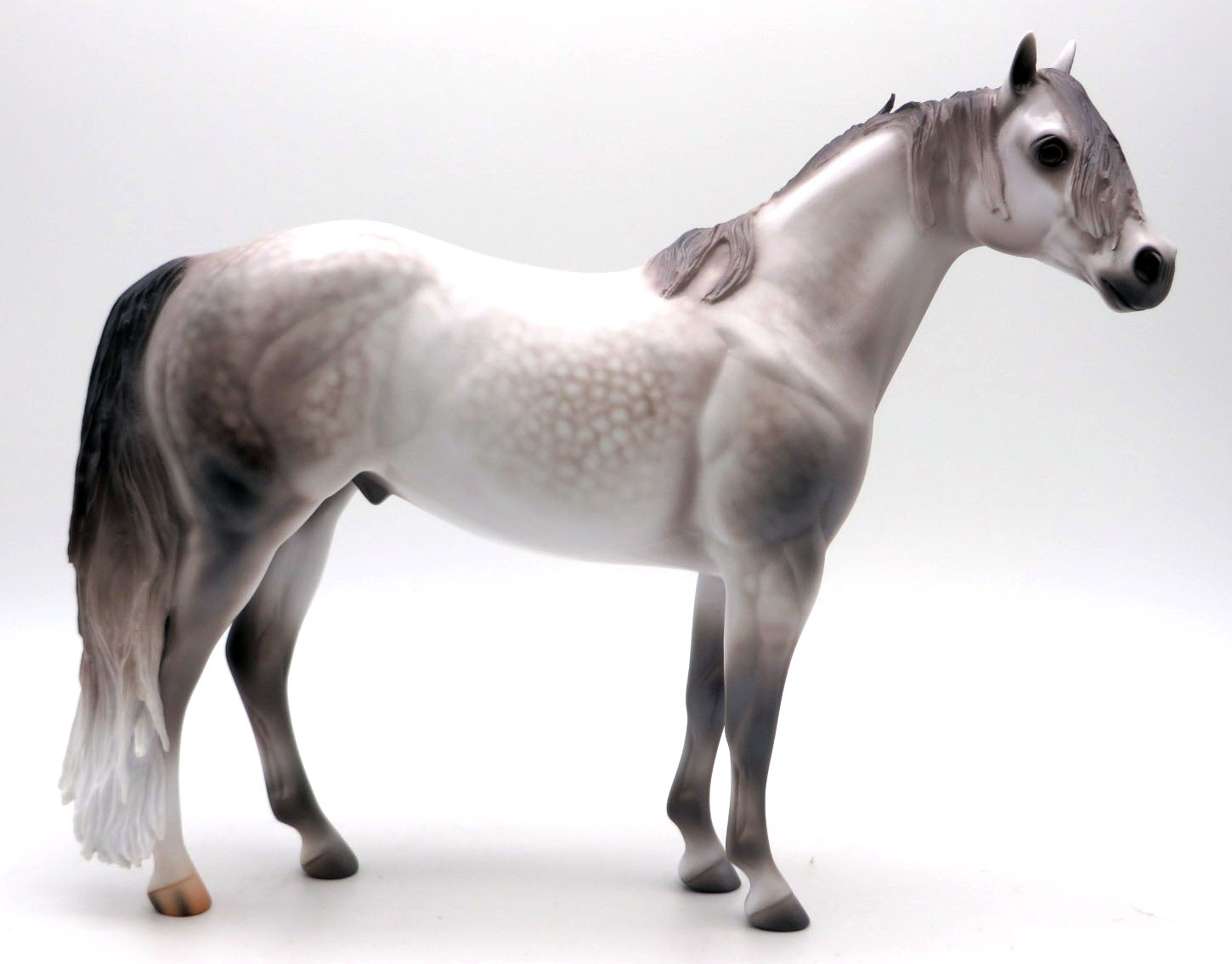 Montrose-OOAK Dapple Grey ISH Painted by Caroline Boydston 4/11/22