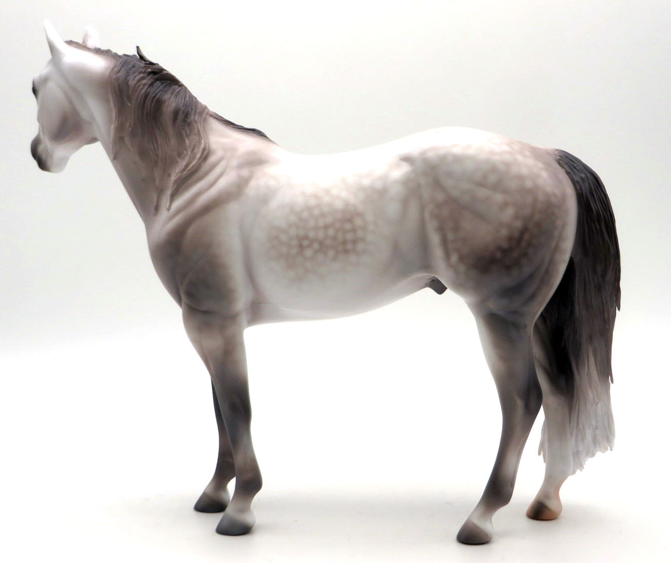 Montrose-OOAK Dapple Grey ISH Painted by Caroline Boydston 4/11/22