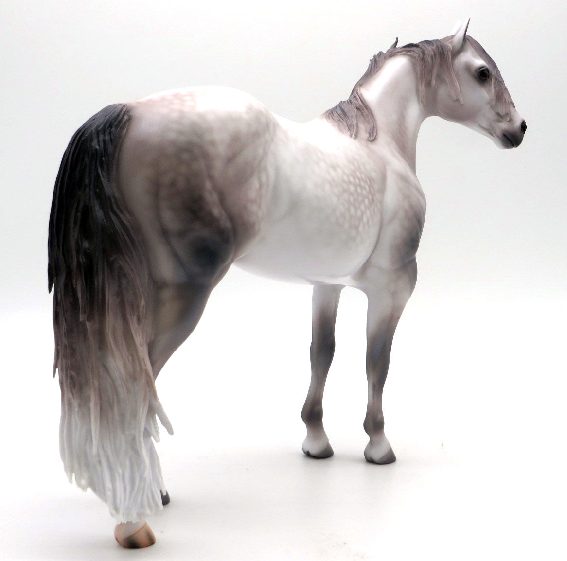 Montrose-OOAK Dapple Grey ISH Painted by Caroline Boydston 4/11/22