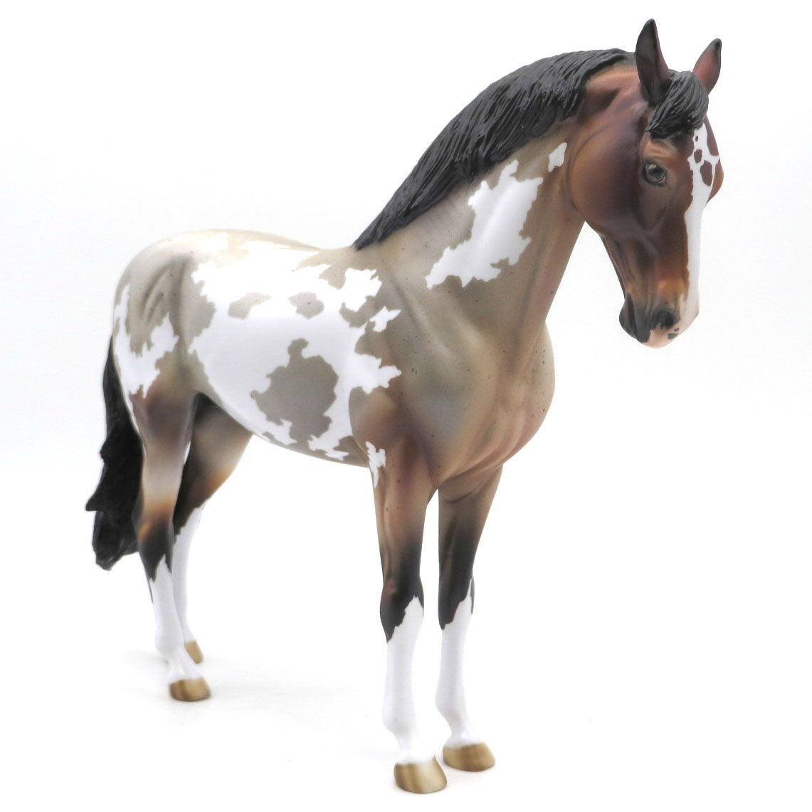 Roscoe - OOAK Bay Roan Overo - SHCF 22