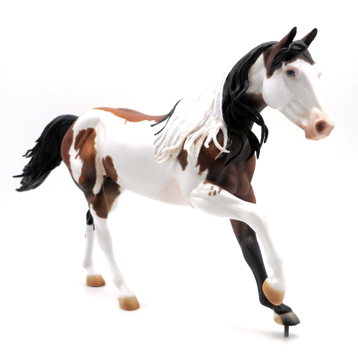 Newsie - OOAK Bay Splash FQH - SHCF 22