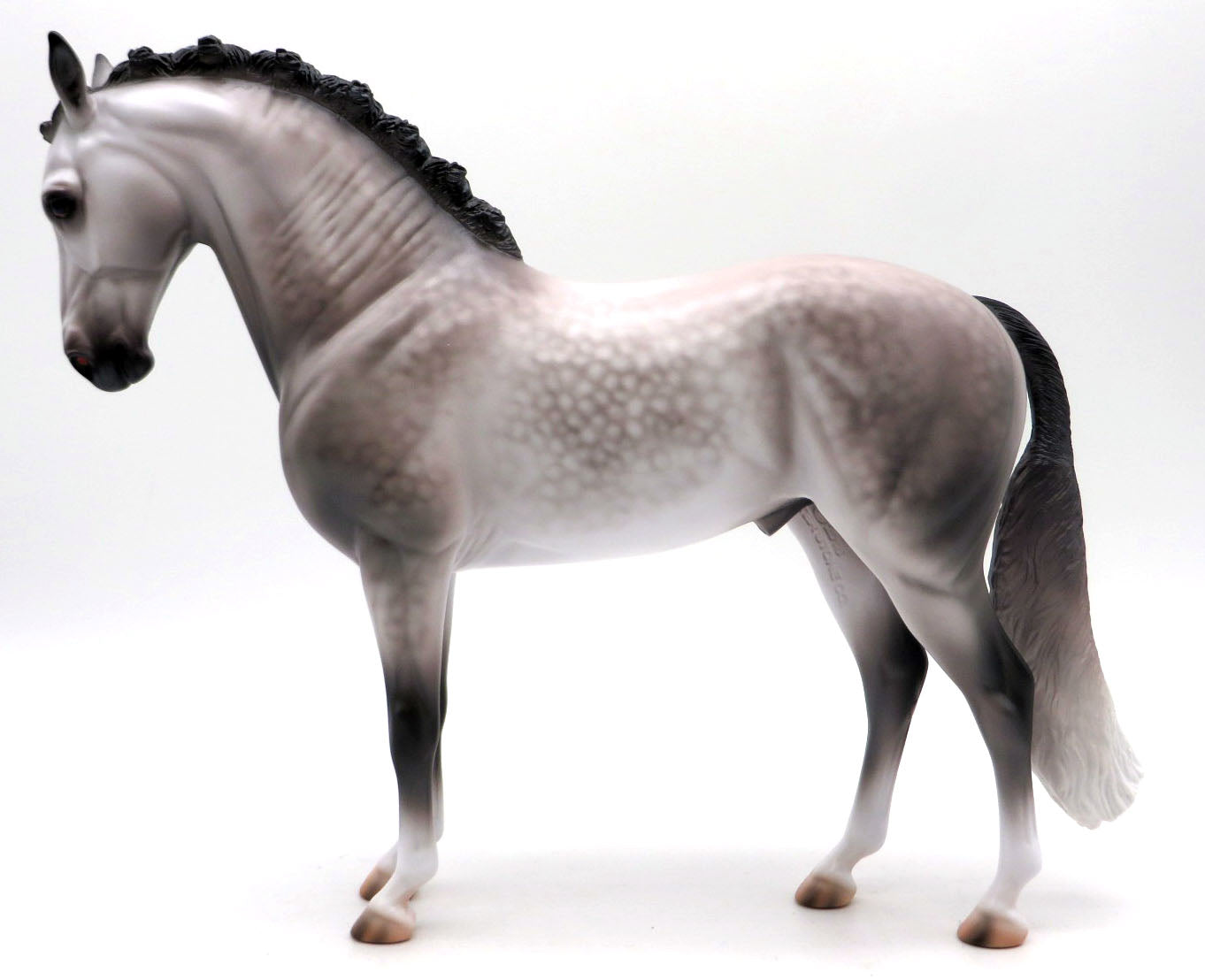 Chapin-OOAK Dapple Grey Andalusian Painted by Caroline 4/18/22