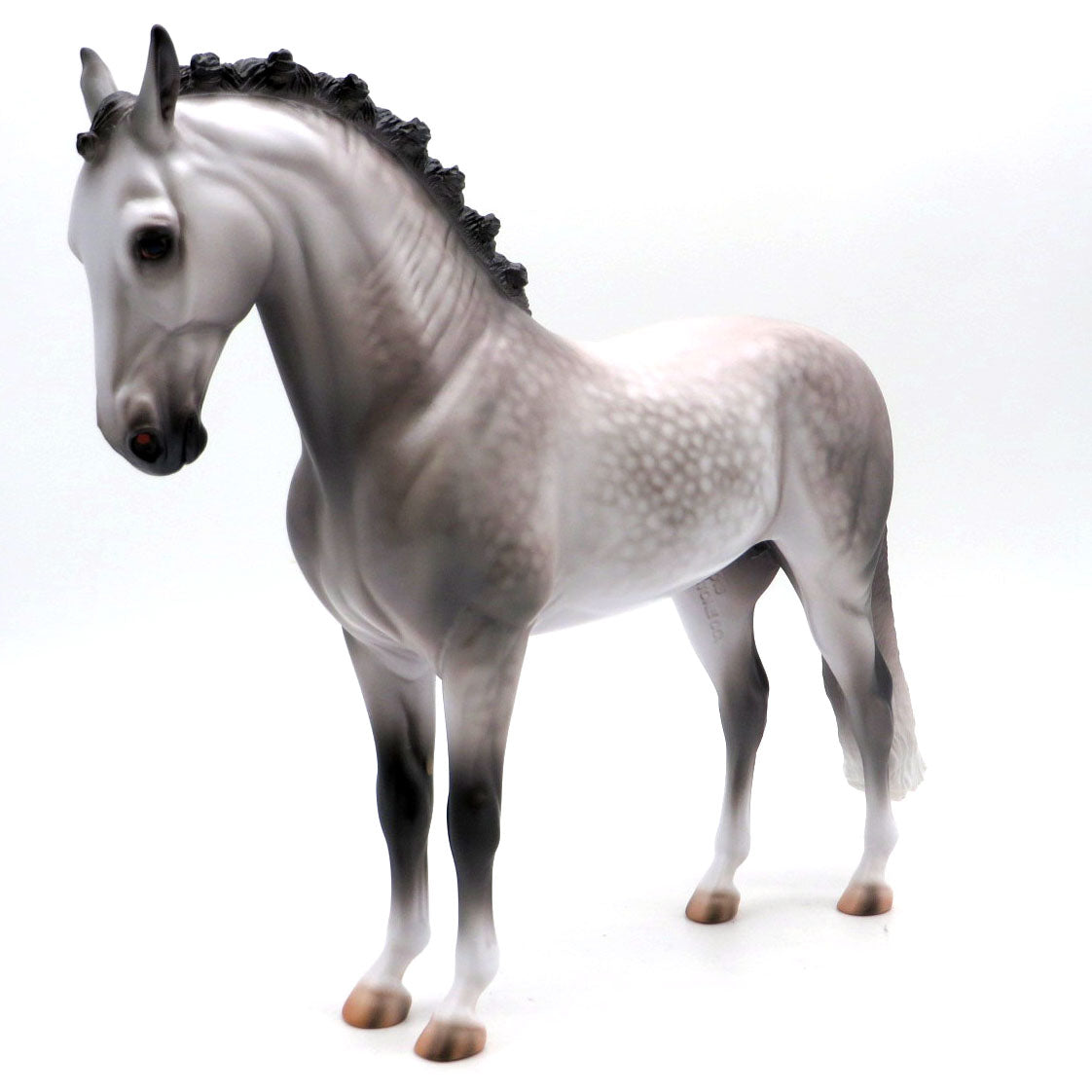 Chapin-OOAK Dapple Grey Andalusian Painted by Caroline 4/18/22