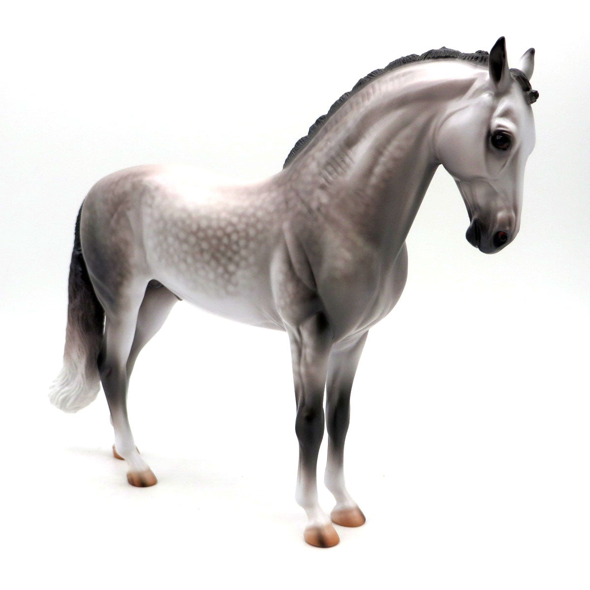 Chapin-OOAK Dapple Grey Andalusian Painted by Caroline 4/18/22