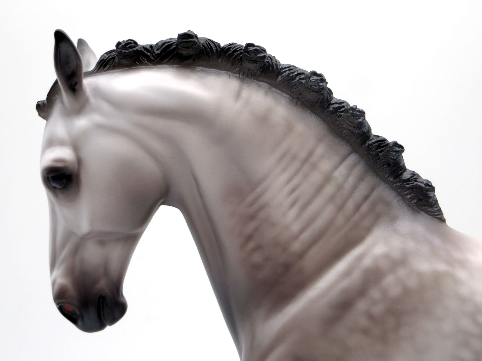 Chapin-OOAK Dapple Grey Andalusian Painted by Caroline 4/18/22