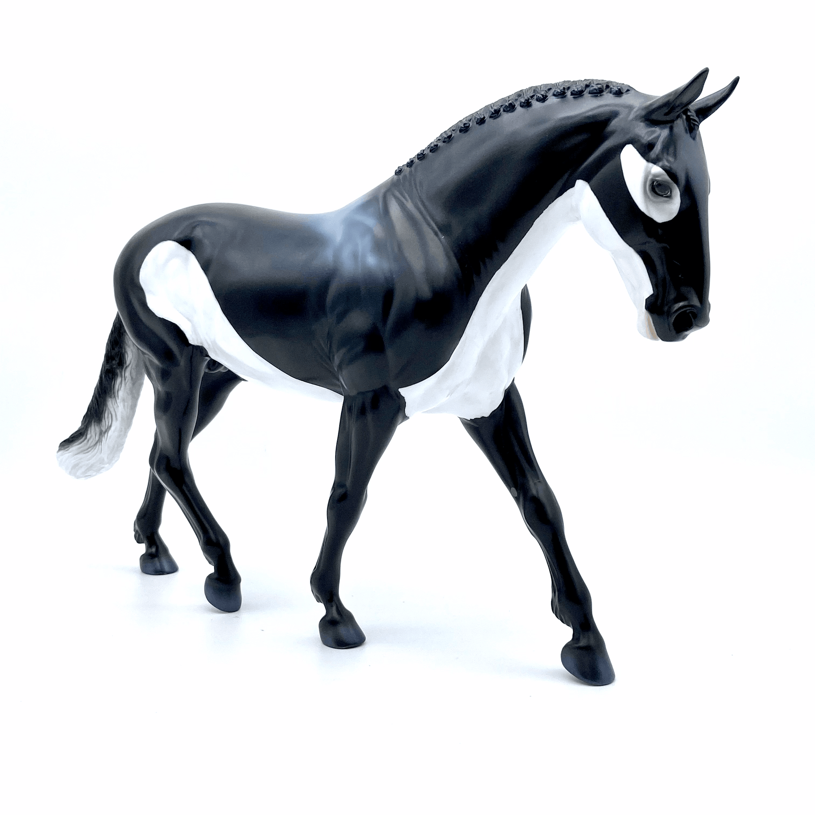 Shark Week Trad/Pebble DAH | Orca Pattern