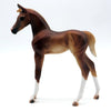 I second That Emotion-OOAK Chestnut Arabian Foal Painted by Caroline 4/18/22