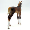 I second That Emotion-OOAK Chestnut Arabian Foal Painted by Caroline 4/18/22