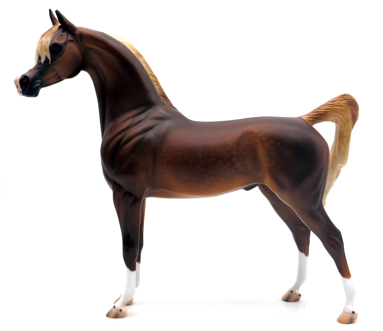 Quiet Riot-OOAK Dapple Chestnut Arabian Painted by Caroline 4/18/22