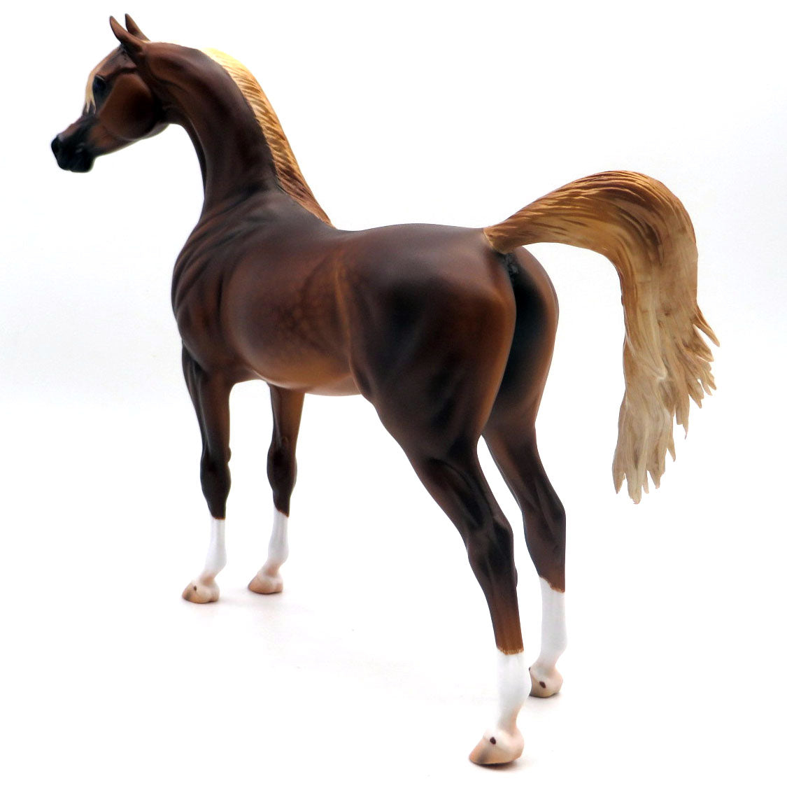 Quiet Riot-OOAK Dapple Chestnut Arabian Painted by Caroline 4/18/22