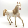 Alice - OOAK Perlino Arab Mare - BO 4/25/22