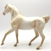 Alice - OOAK Perlino Arab Mare - BO 4/25/22