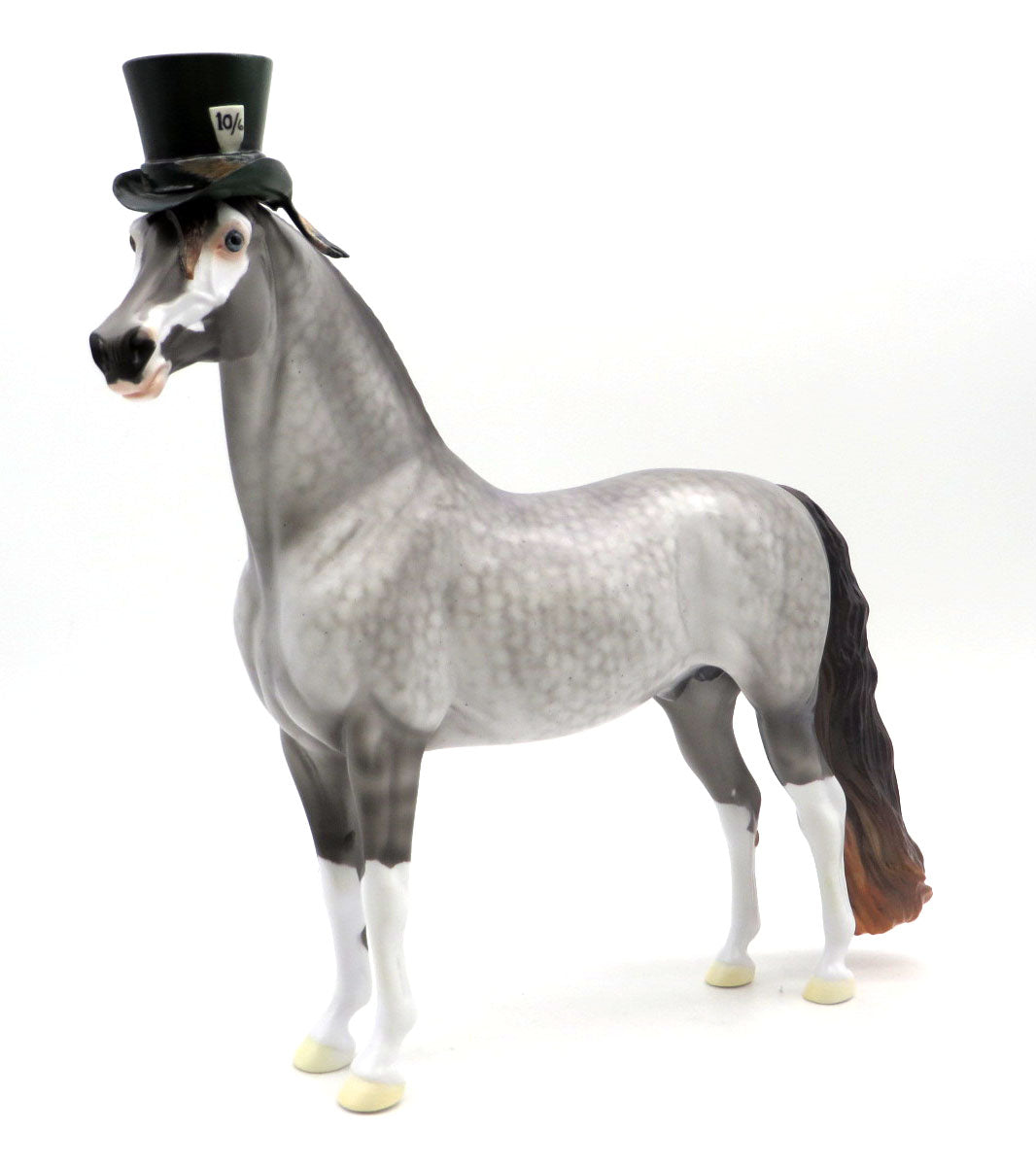 Tarrant Hightop - OOAK Dapple Gray to Brindle Morgan - BO 4/25/22