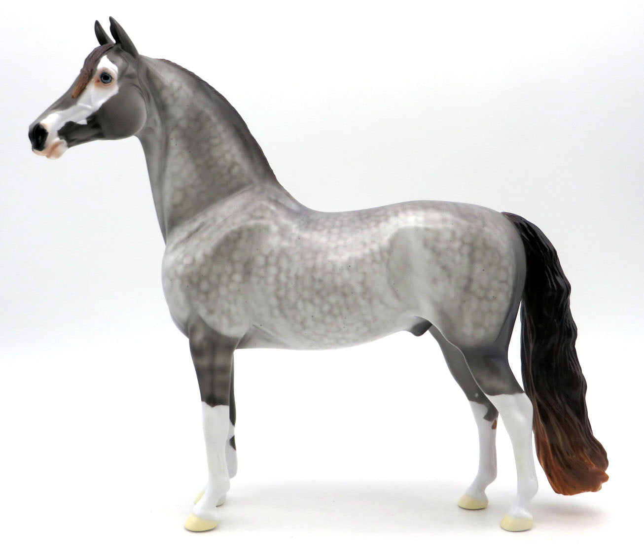 Tarrant Hightop - OOAK Dapple Gray to Brindle Morgan - BO 4/25/22