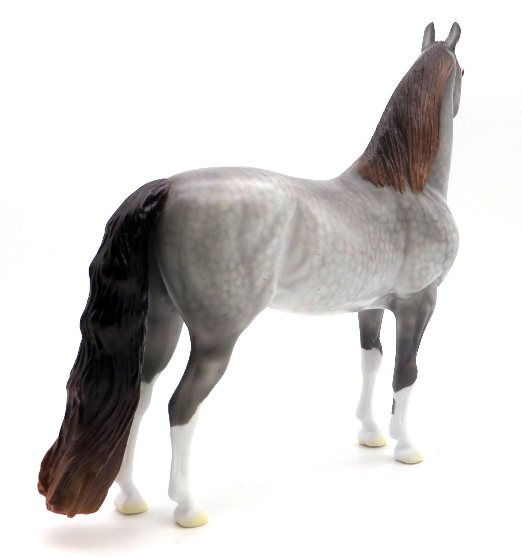 Tarrant Hightop - OOAK Dapple Gray to Brindle Morgan - BO 4/25/22