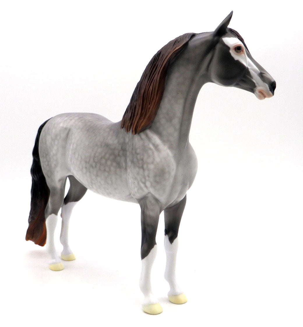 Tarrant Hightop - OOAK Dapple Gray to Brindle Morgan - BO 4/25/22