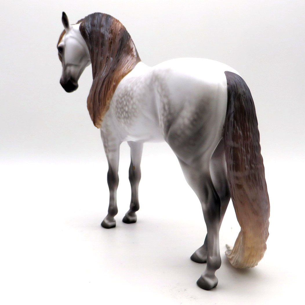 Rahsaan - OOAK Dapple Gray Andalusian by Caroline Boydston - BO 4/25/22