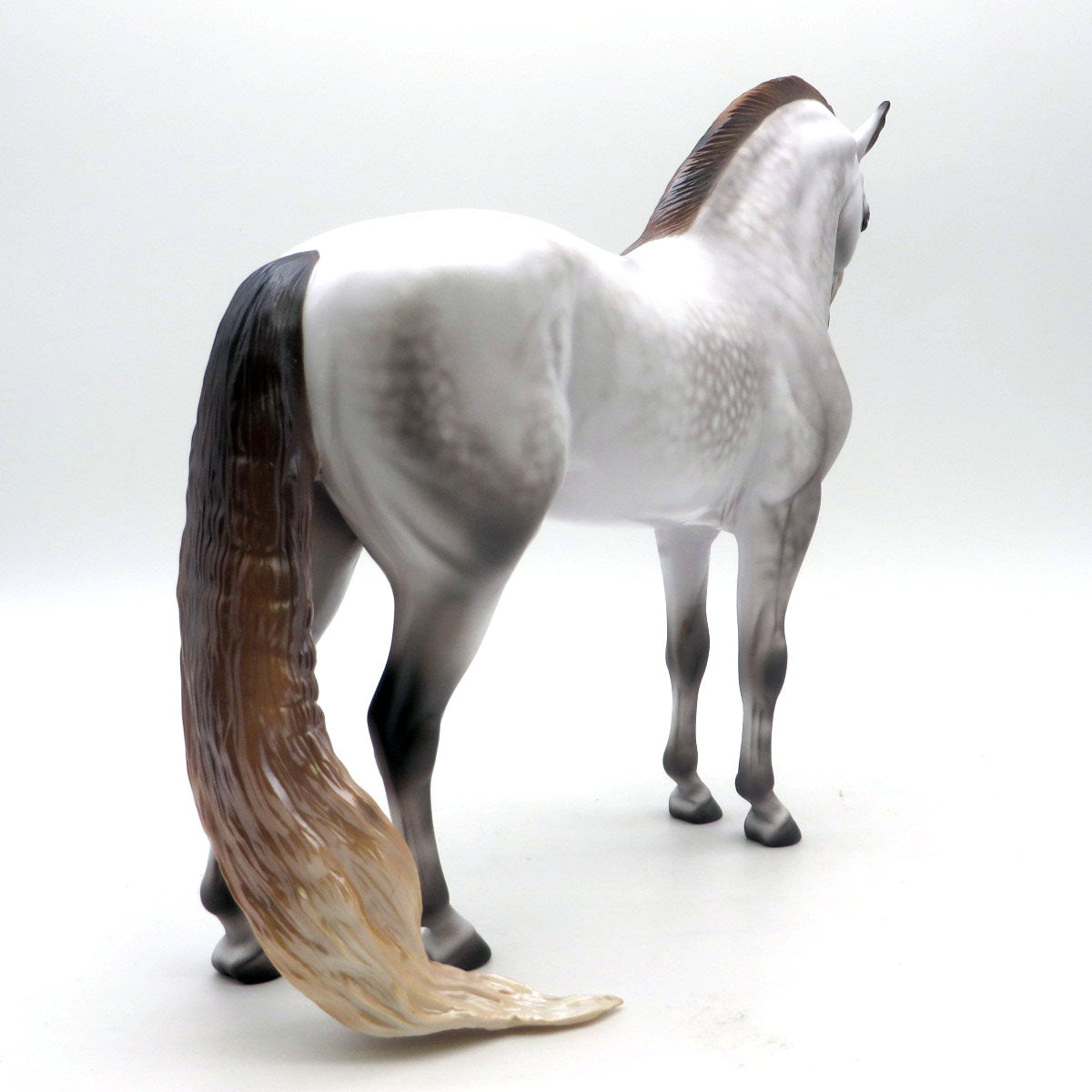Rahsaan - OOAK Dapple Gray Andalusian by Caroline Boydston - BO 4/25/22
