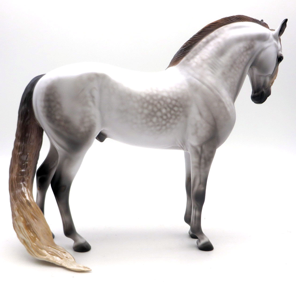 Rahsaan - OOAK Dapple Gray Andalusian by Caroline Boydston - BO 4/25/22